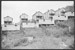 houses