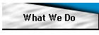 What We Do