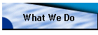 What We Do