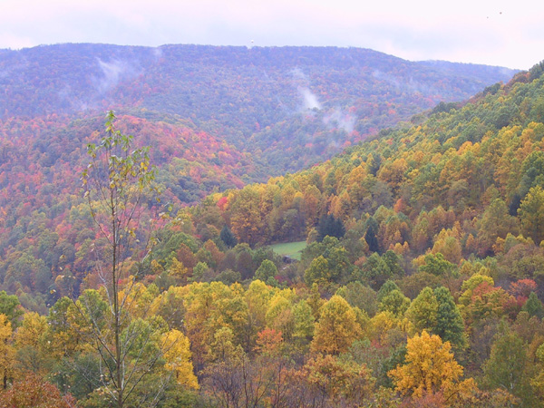 Fernow Fall
