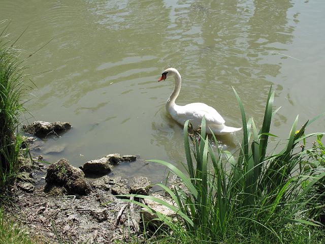 2009-06-05_063