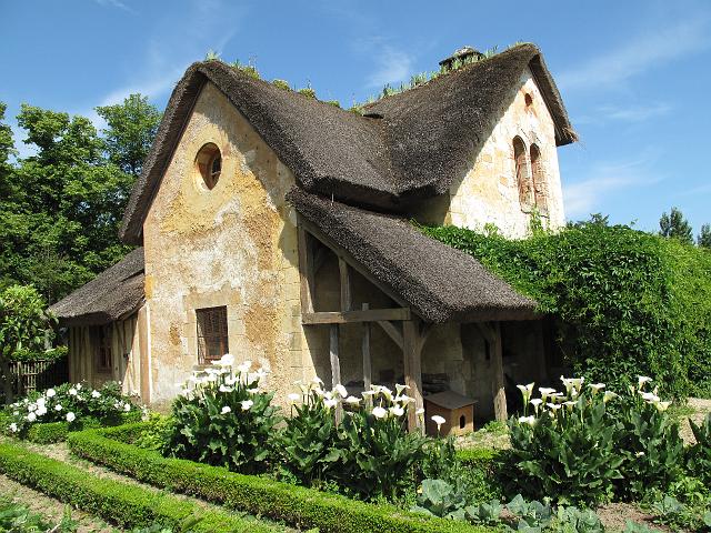2009-06-05_078