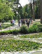 2009-06-05_059
