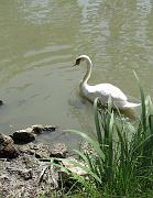 2009-06-05_063