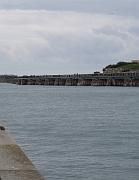 2009-06-06_042