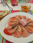 2009-06-11_069