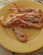 2009-06-14_011