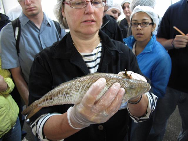 2009-06-16_044
