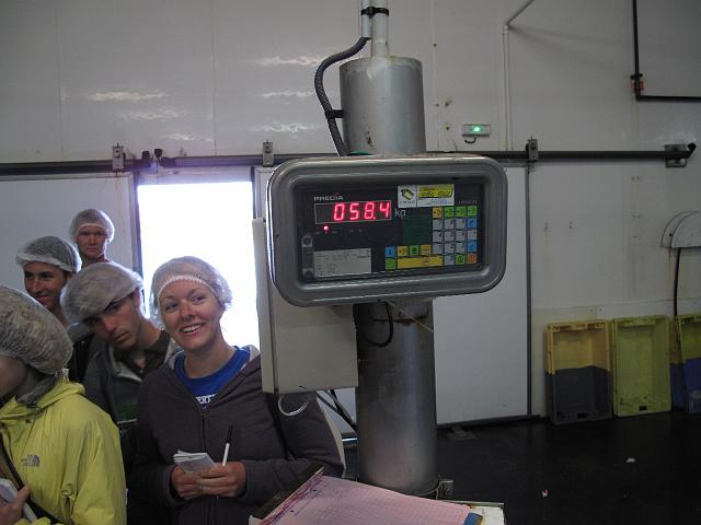 2009-06-16_088