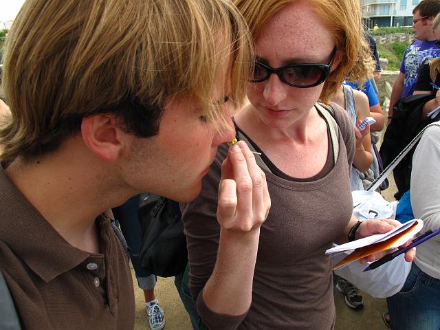 2009-06-16_175