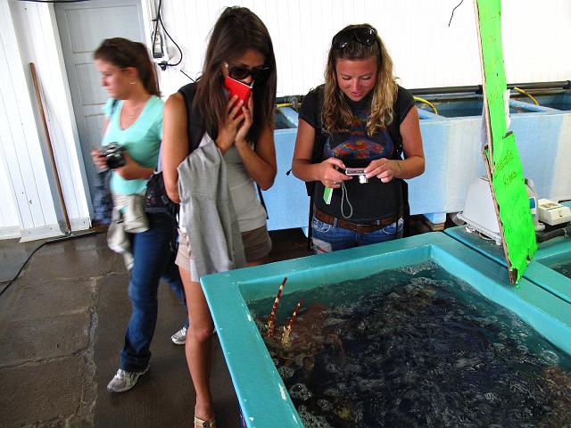 2009-06-16_198
