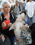 2009-06-16_024