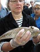 2009-06-16_044