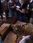 2009-06-16_258