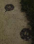2009-06-18_016