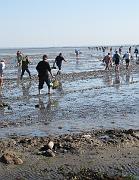 2009-06-23_014