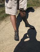 2009-06-23_175