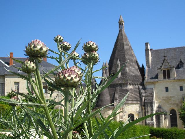 2009-06-29_114