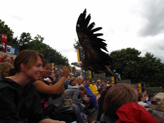 2009-07-02_074