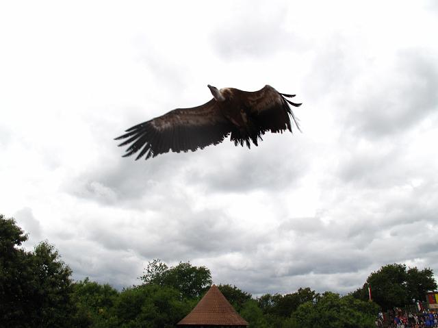 2009-07-02_078