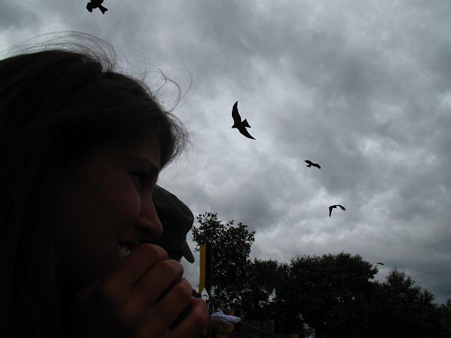 2009-07-02_085