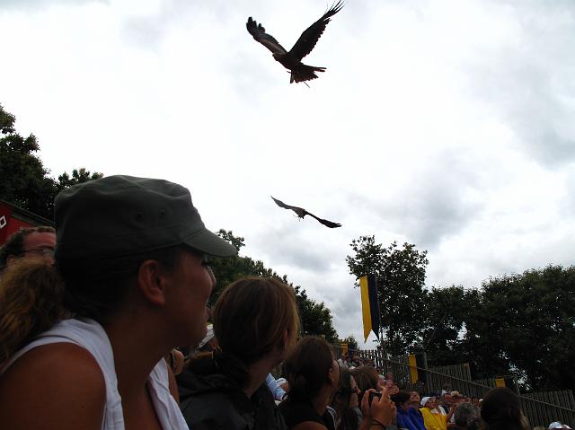 2009-07-02_092