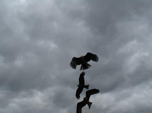 2009-07-02_101