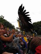 2009-07-02_074