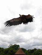 2009-07-02_078