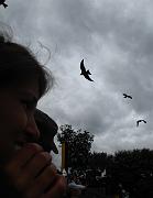 2009-07-02_085