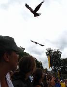 2009-07-02_092