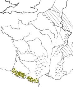 18.JPG